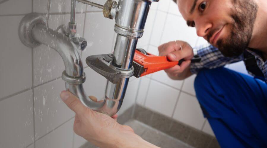 Toilet maintenance in Winterthur, DE